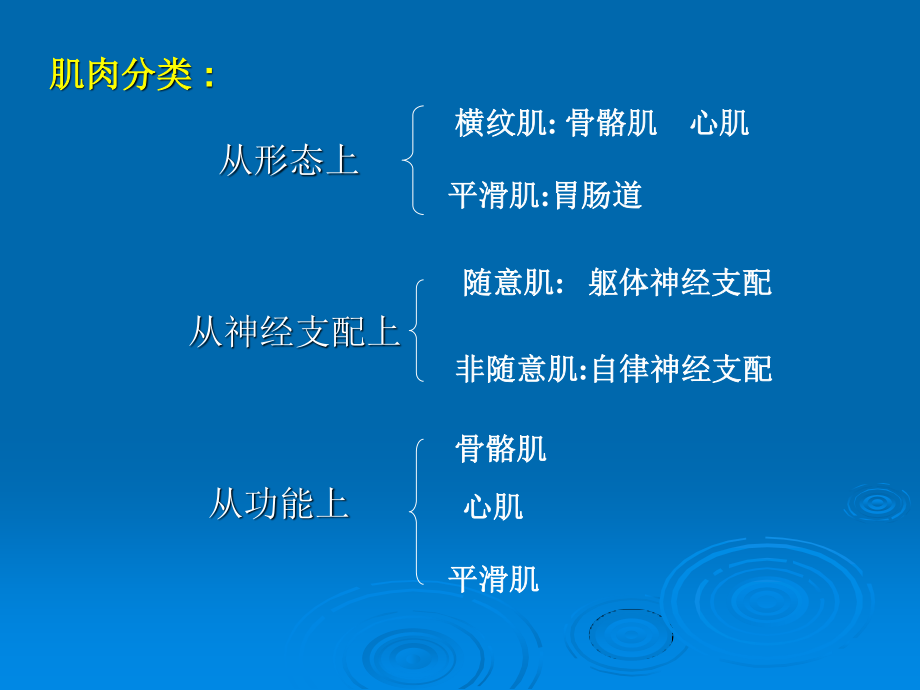 二章3肌细胞的收缩功能.ppt_第2页