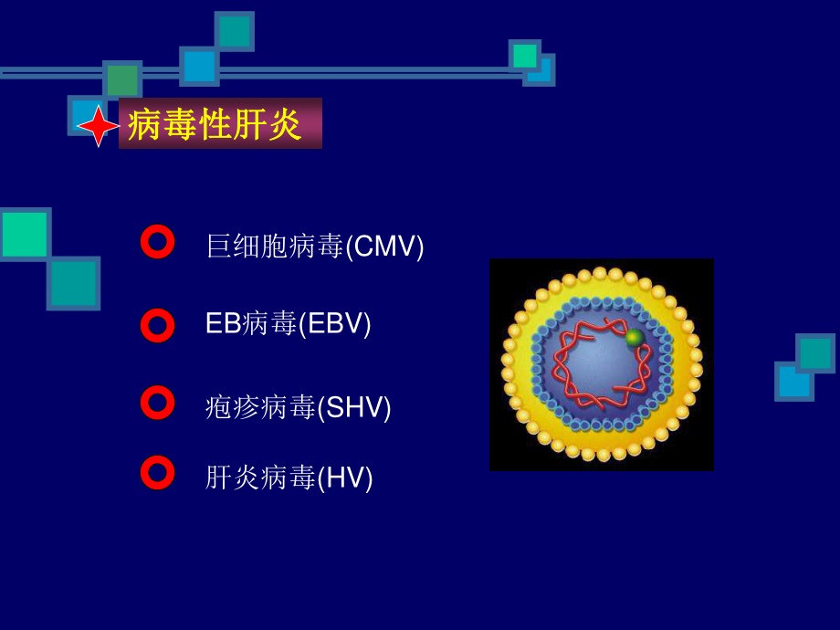 乙肝两对半检测的意义-穆仁懋.ppt_第3页