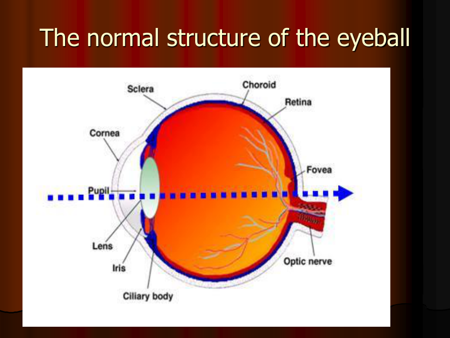 Diabetic-retinopathy糖尿病视网膜病变英文.ppt_第1页