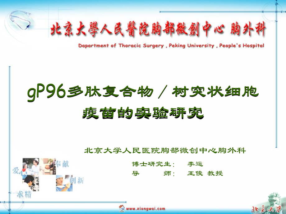 gP96多肽复合物／树突状细胞疫苗研究.ppt_第1页