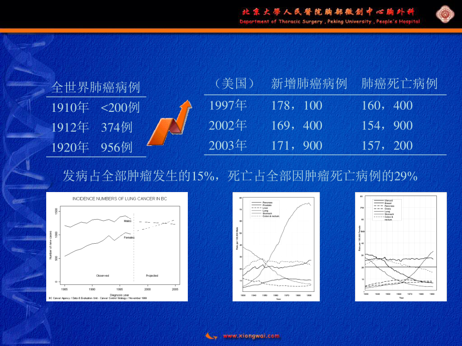 gP96多肽复合物／树突状细胞疫苗研究.ppt_第3页