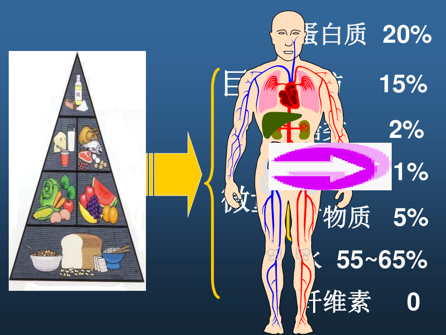 七大营养素-营养.pptx_第2页