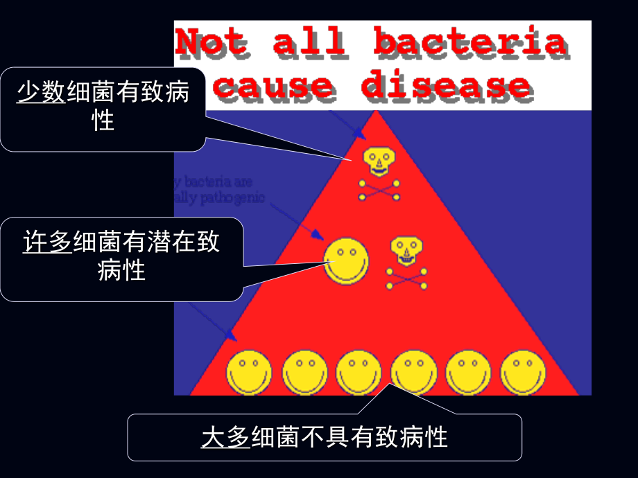 6细菌致病性.ppt_第3页