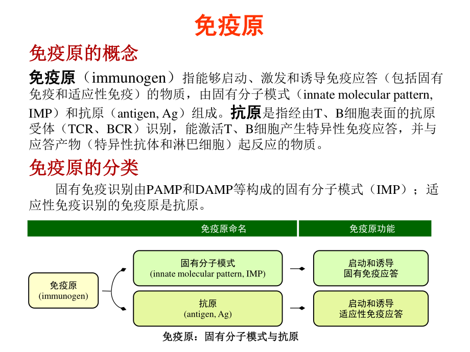 4-免疫原和免疫球蛋白.pptx_第3页