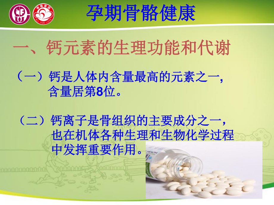 关爱母婴骨骼与牙齿健康(一).ppt_第3页