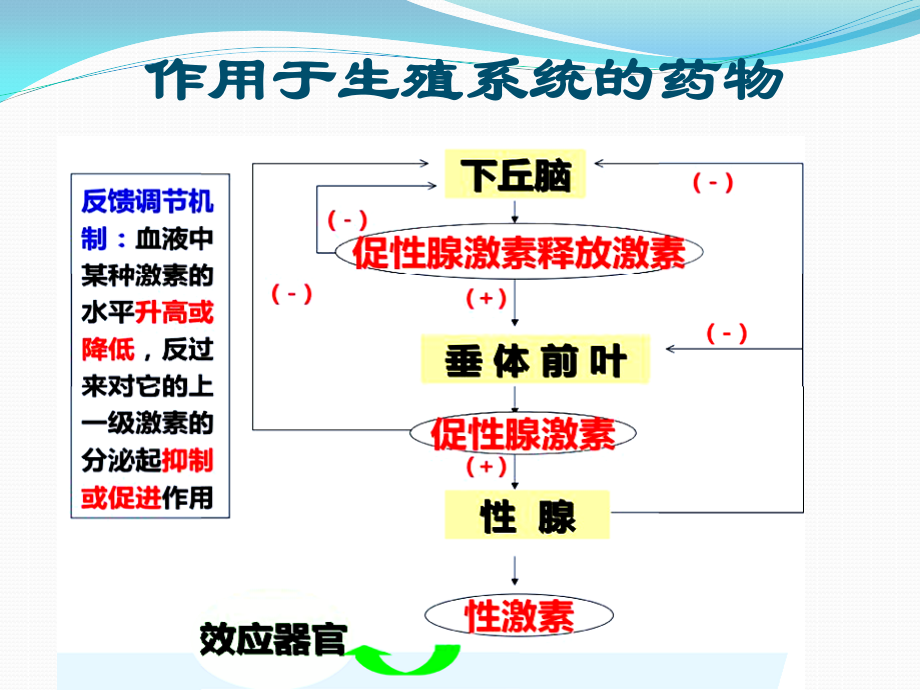 8.第七章-生殖系统药理-陈海兰.pptx_第2页