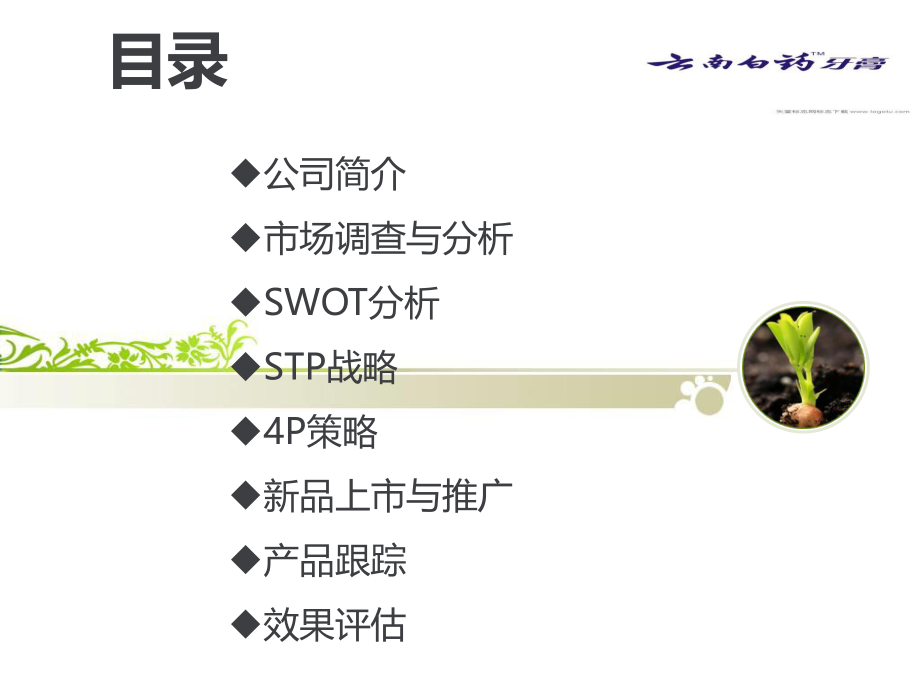 云南白药牙膏新品上市PPT精讲.ppt_第2页