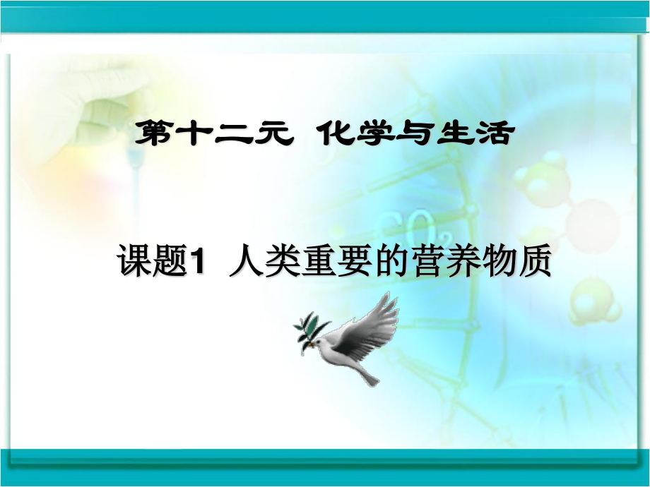 人类重要的营养物质全解.ppt_第2页