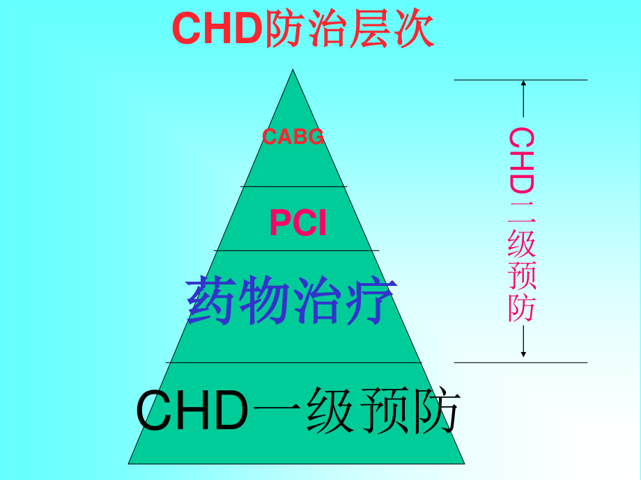 CHD合理用药及误区.ppt_第2页