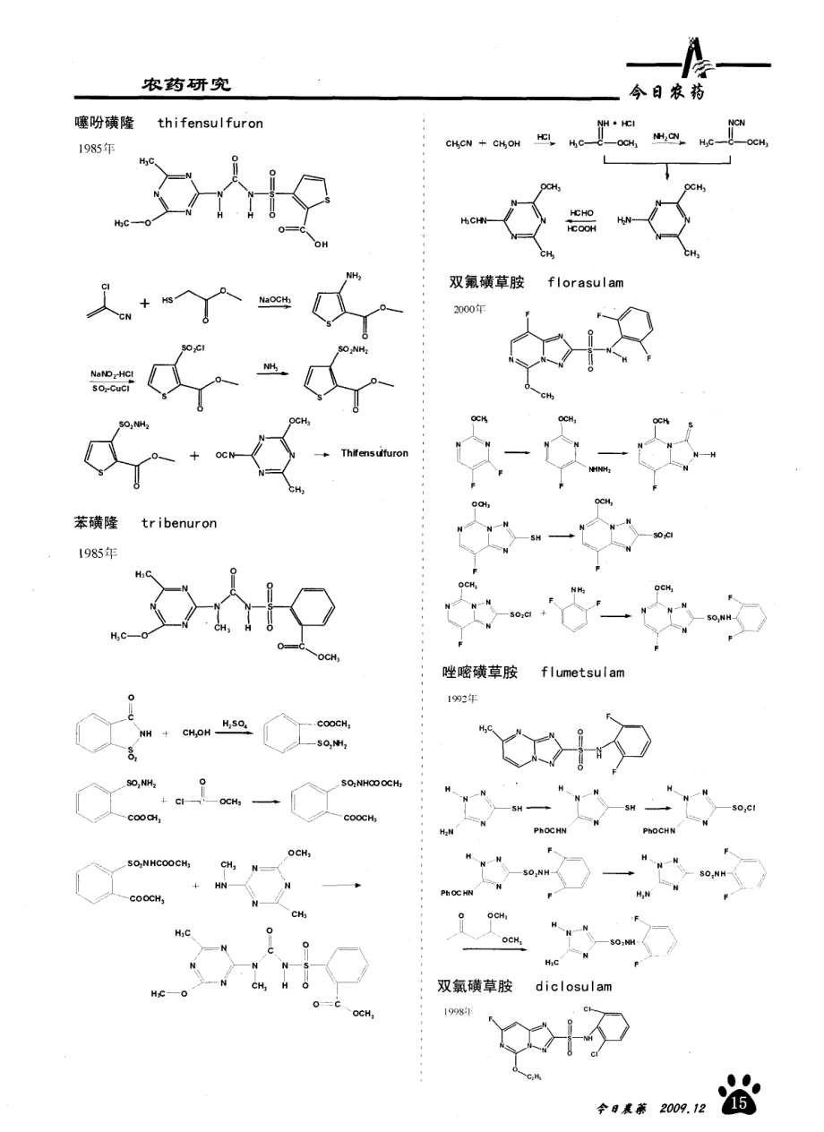 主要农药品种合成路线概略.pdf_第2页