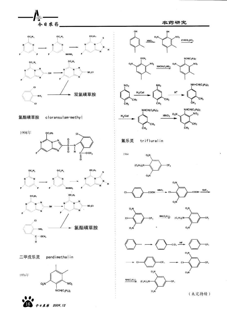 主要农药品种合成路线概略.pdf_第3页