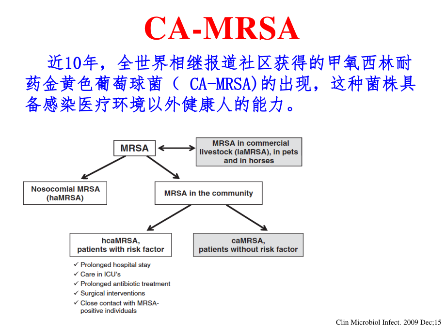 MRSA感染诊治策略.ppt_第3页