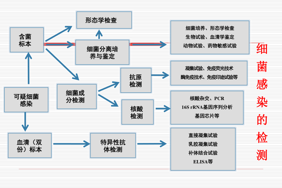 二细菌的生长繁殖消毒与灭菌.ppt_第1页