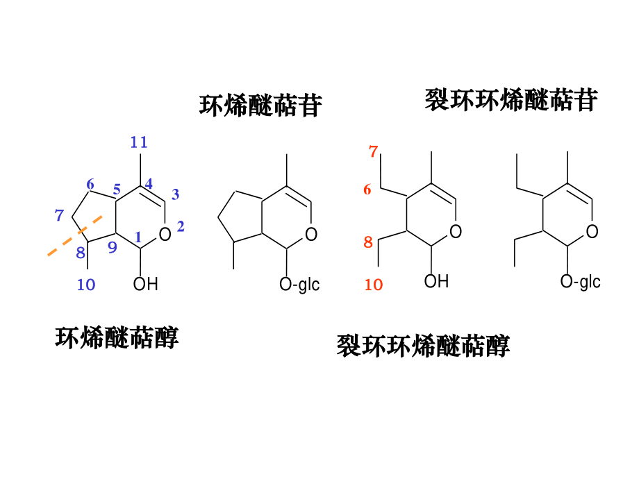 南方医科大学第六讲2.ppt_第2页