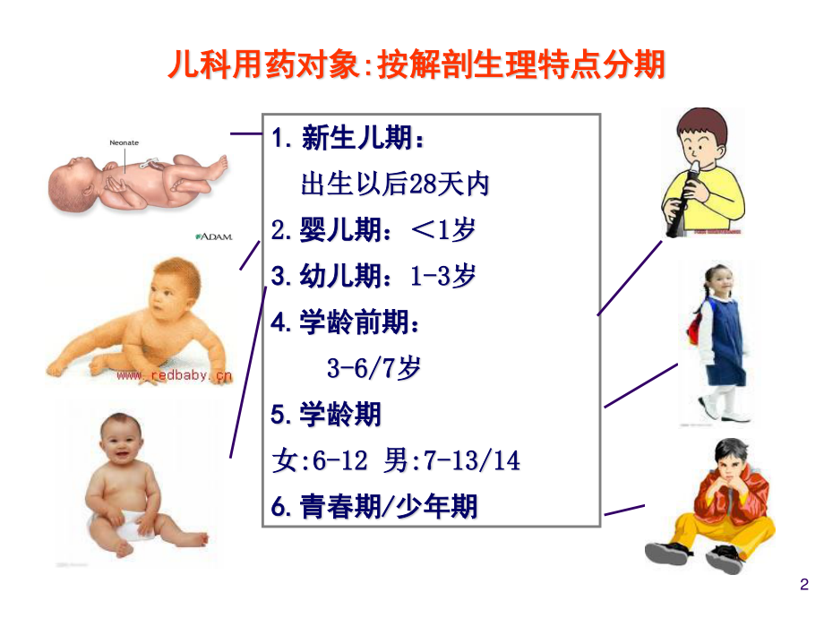 儿童用药分析.ppt_第2页