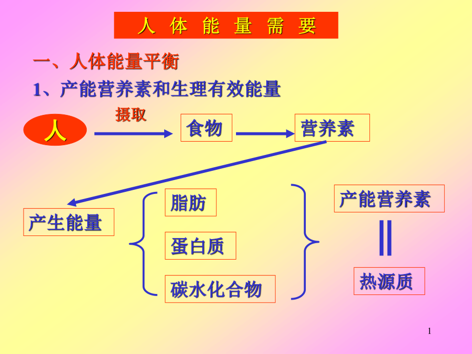 《食品营养学》人体能量需要.ppt_第1页