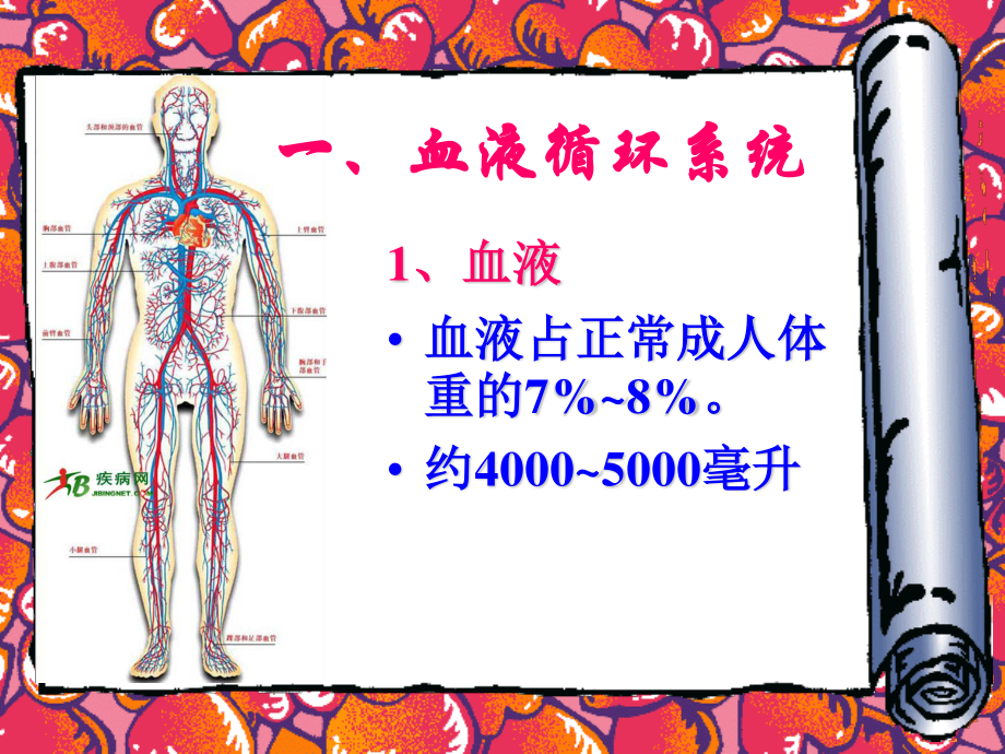 人体八大系统——循环系统.ppt_第3页