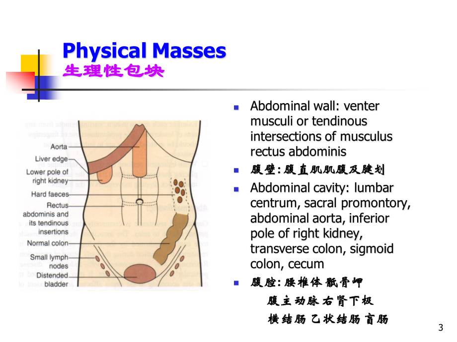 J腹部检查B.ppt_第3页