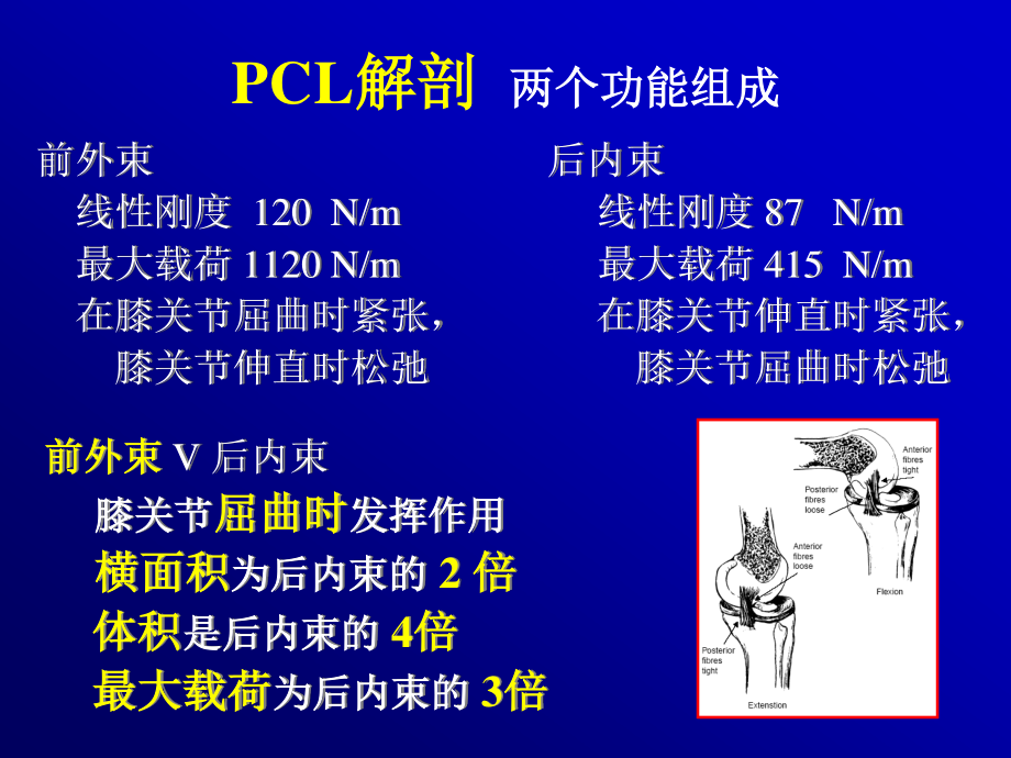 关节镜下的后交叉韧带重建术.ppt_第3页