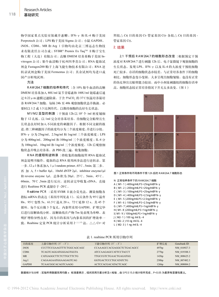 RAW264-7细胞M1-M2亚型的诱导和鉴定.pdf_第2页