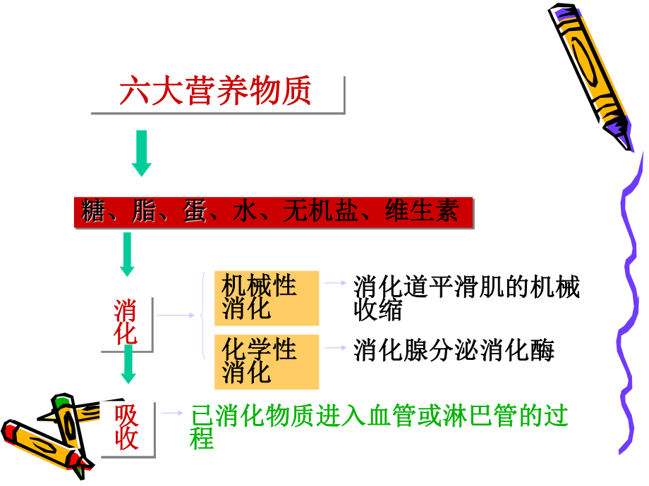 6.消化与吸收概述.ppt_第3页