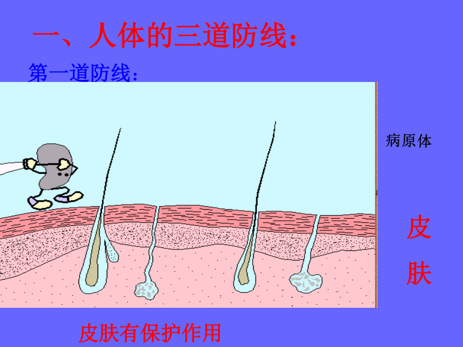 免疫和传染病罗村中学-董奎玺.ppt_第3页