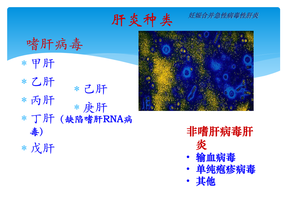 人民医院妊娠合并肝病讲稿.ppt_第3页