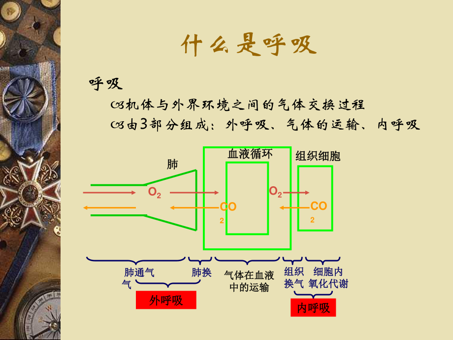 Drager呼吸机的使用!.ppt_第3页