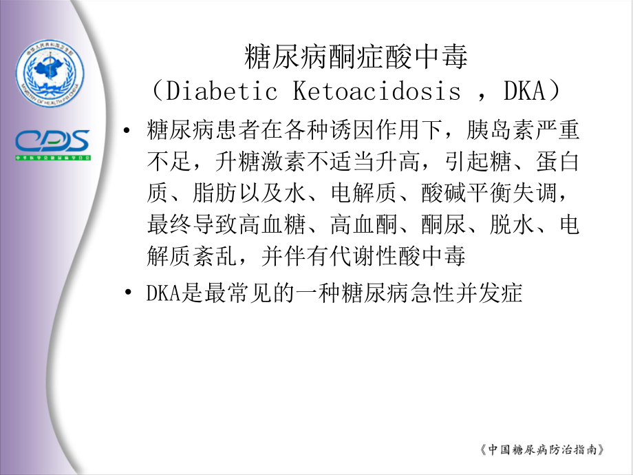 中国糖尿病防治指南9.ppt_第3页