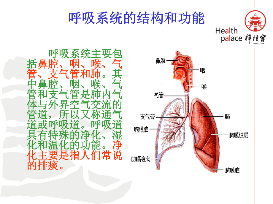 梓宫上呼吸道感染及合理用药..ppt_第3页