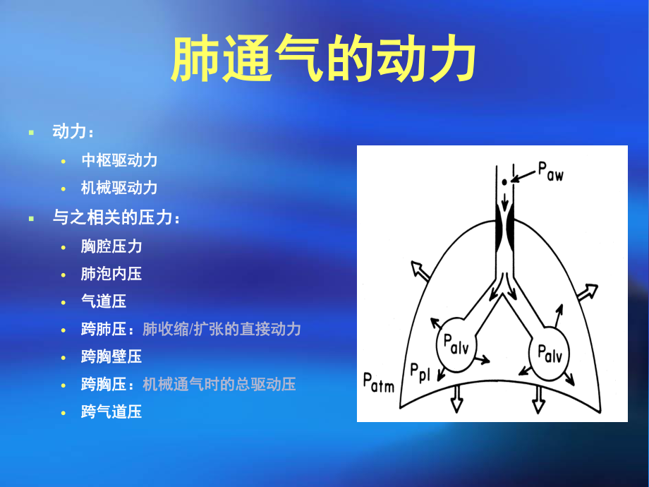 呼吸力学导向的通气设置.ppt_第3页