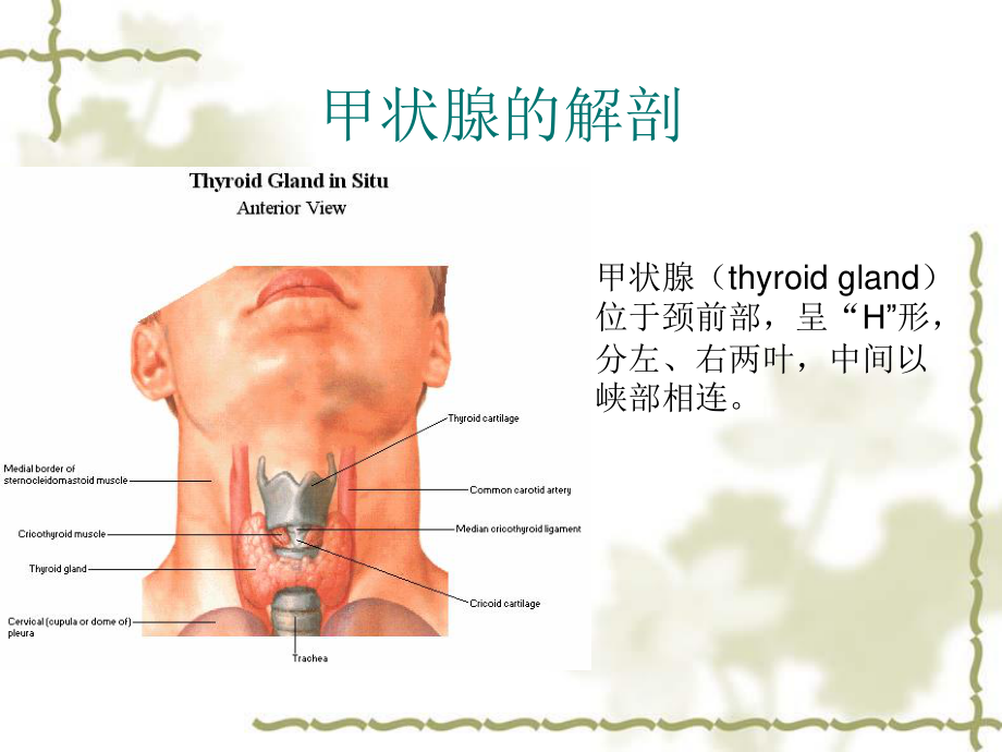 甲状腺病变的影像学表现.pptx_第2页