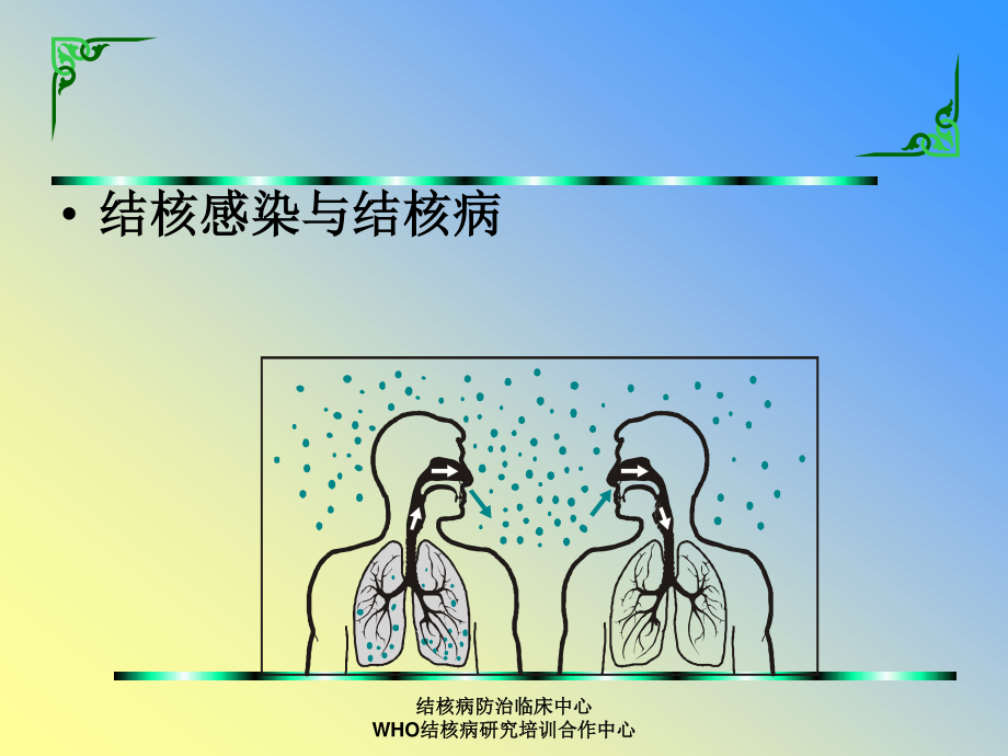 感染控制090113.ppt_第2页