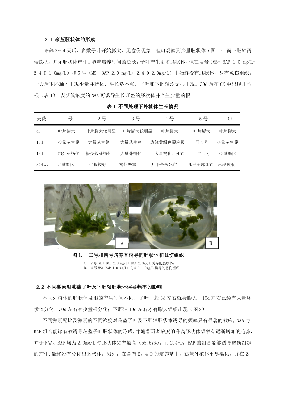 本科论文菘蓝体细胞染色体加倍的研究.doc_第3页