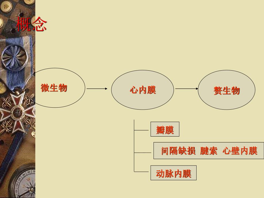 感染性心内膜炎12.ppt_第2页