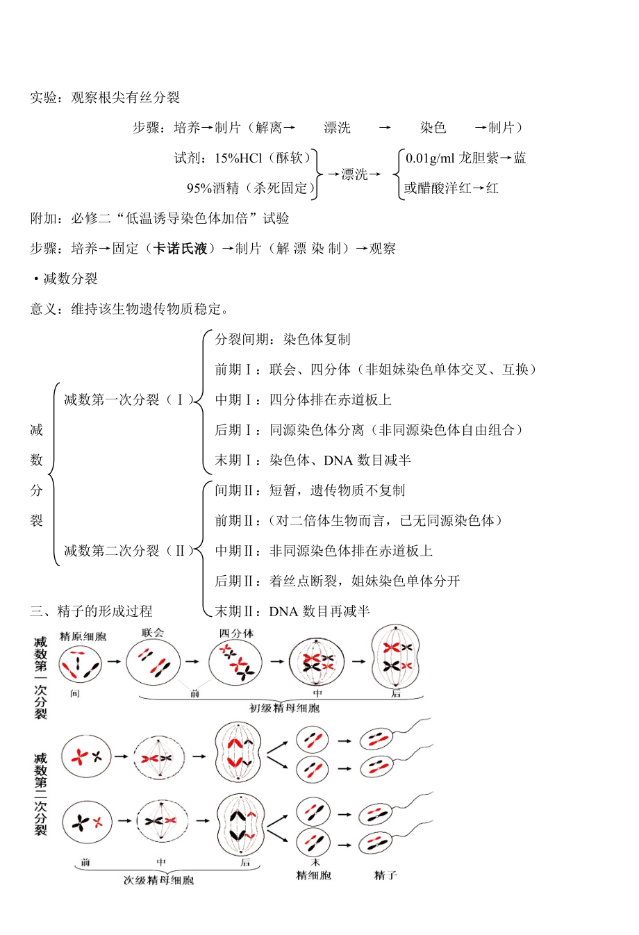 必修一-第六章-细胞的生命历程-知识点.doc_第2页