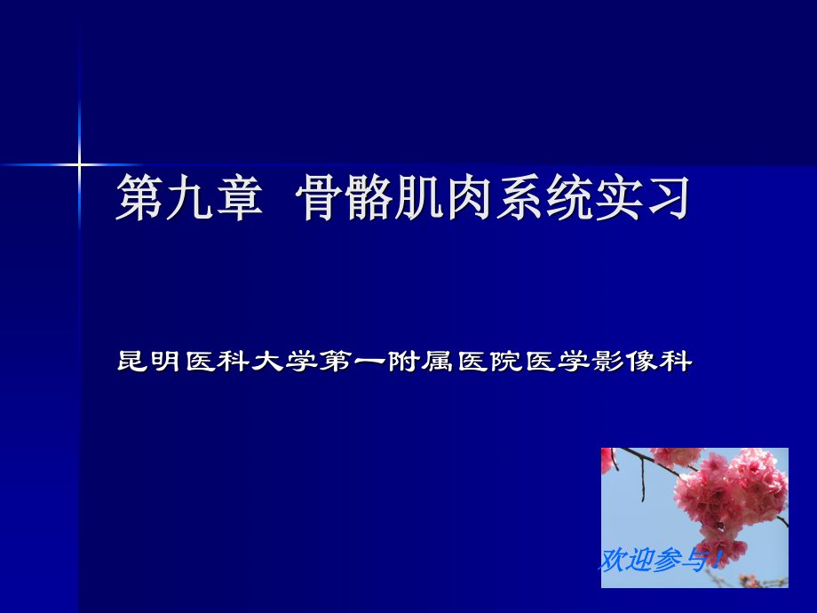 实习一--骨与关节正常表现.ppt_第1页