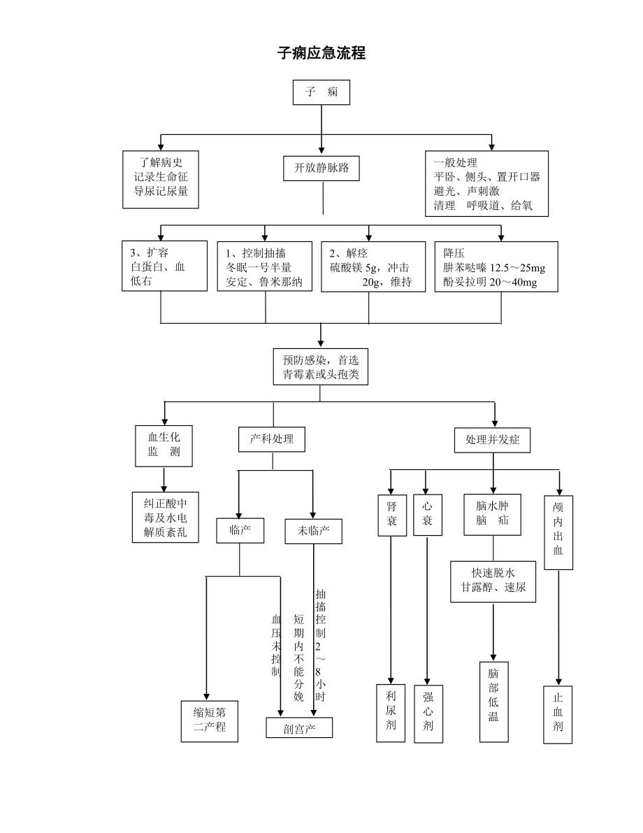 羊水栓塞抢救流程图、产后出血应急流程、子痫应急流程.rtf_第2页