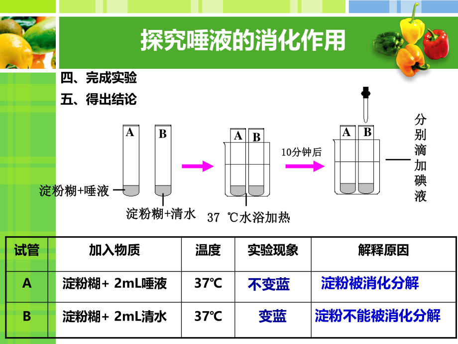 食物在口腔中消化2详解.ppt_第3页