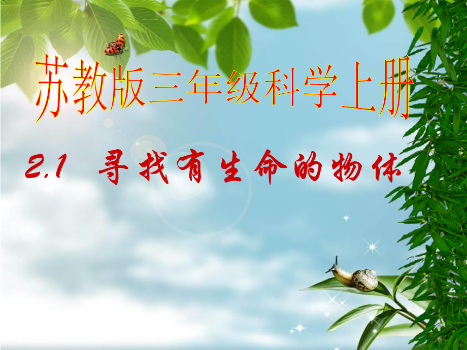 寻找有生命的物体.ppt_第1页