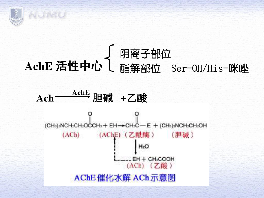 易逆性抗胆碱酯酶药药理作用眼.ppt_第3页