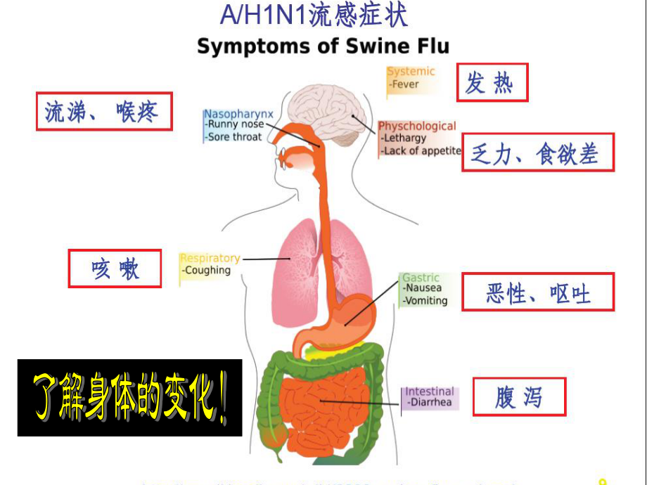 发热咳嗽打喷嚏流鼻涕喉咙痛身体痛头痛实习.ppt_第3页