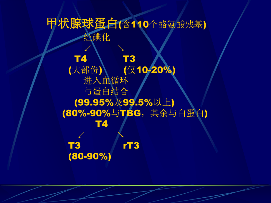 妊娠期甲状腺功能亢进的诊治.ppt_第2页