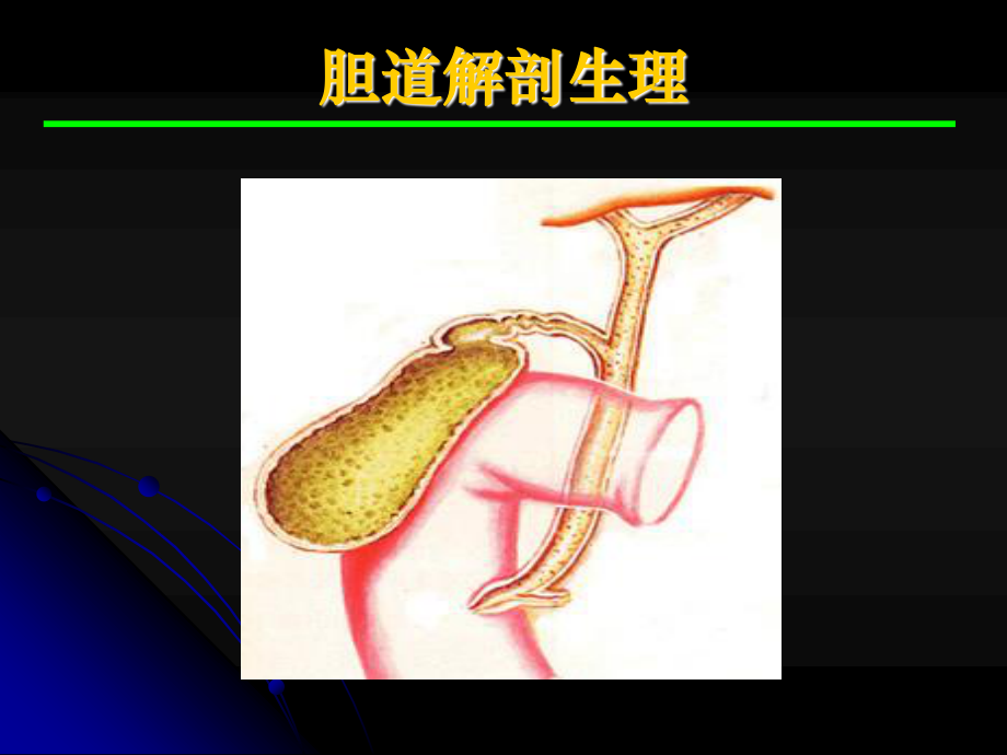 成都大学医护学院外科教研室王利平.ppt_第2页