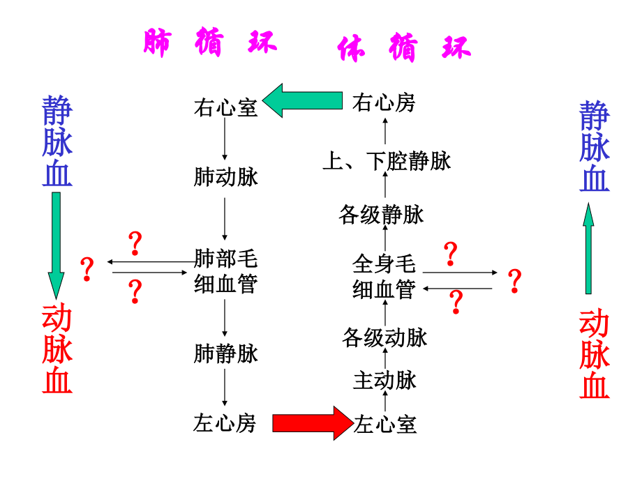 说出体循环及肺循环的途径以及其血液成分的变化.ppt_第2页