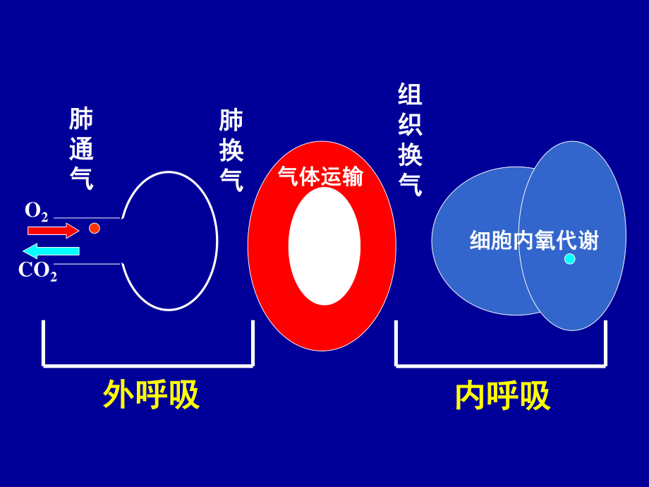 急性呼吸衰竭及抢救措施.ppt_第1页