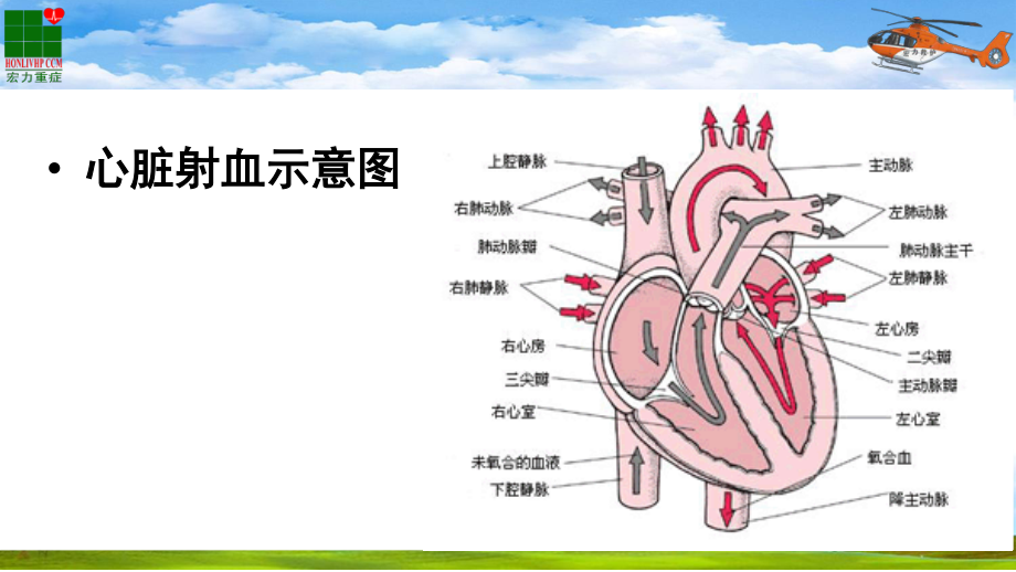 循环、血流动力学监测.ppt_第3页