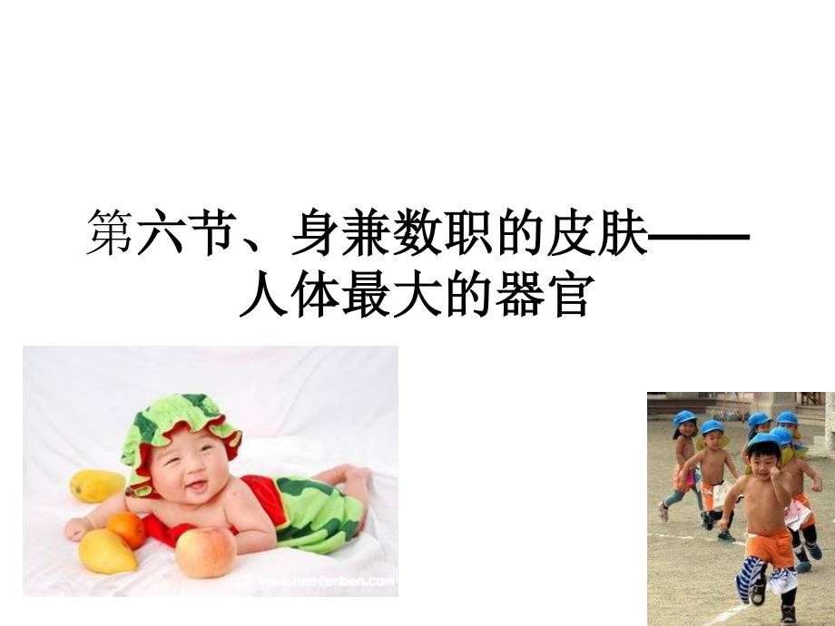 幼儿卫生学----皮肤.ppt_第1页