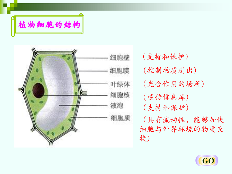 对比动植物细胞的结构.ppt_第2页