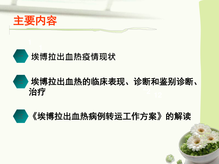 埃博拉出血热病例救治与急救转运.ppt_第2页